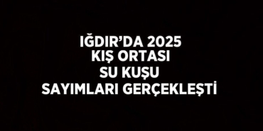 24620203402610728069tasarimli