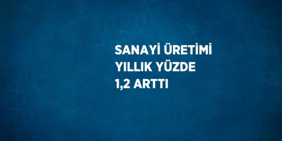 SANAYİ ÜRETİMİ YILLIK YÜZDE 1,2 ARTTI