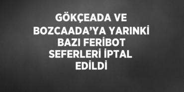 24626227872575626552tasarimli