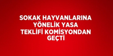 24627200812129323079tasarimli
