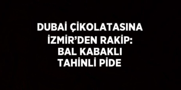 24631305252278022633tasarimli