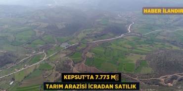 24633257783181125187tasarimli