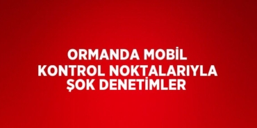 24633314612798426997tasarimli