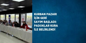 24639254252401520608