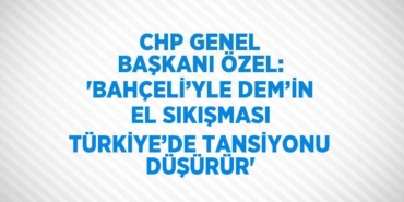 24643289112669228295tasarimli