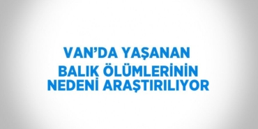 24648260122914222828tasarimli