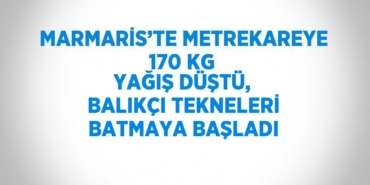 24653214642055827108tasarimli