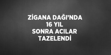 24661248402829628636tasarimli