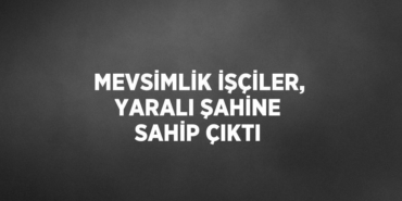 24663311652380328872tasarimli