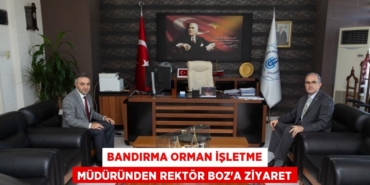 24669263392755420191tasarimli