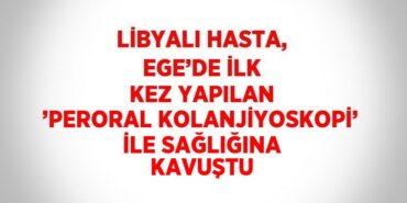 24670230132647921386tasarimli