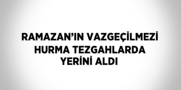 24671244002719631230tasarimli