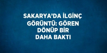 24675223152069923074tasarimli