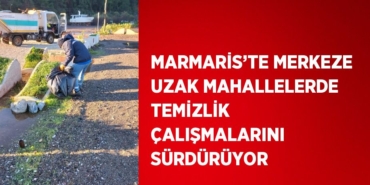 24675308612726620761