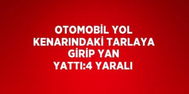 24679274542180931420tasarimli