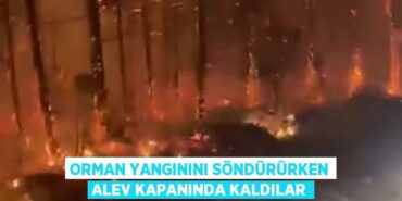 24690225592495822115tasarimli