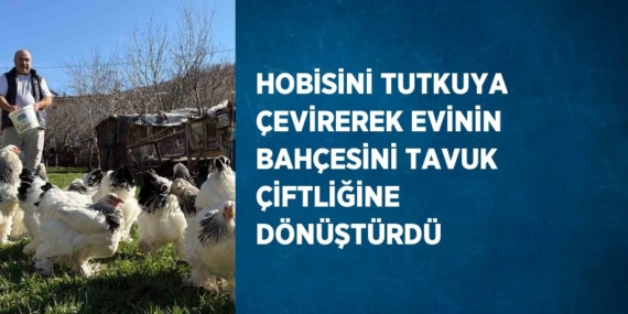 HOBİSİNİ TUTKUYA ÇEVİREREK EVİNİN BAHÇESİNİ TAVUK ÇİFTLİĞİNE DÖNÜŞTÜRDÜ