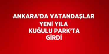 24699206343116228482tasarimli