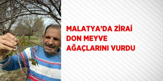 MALATYA’DA ZİRAİ DON MEYVE AĞAÇLARINI VURDU