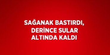 24699266862756320823tasarimli