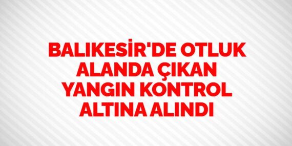 BALIKESİR’DE OTLUK ALANDA ÇIKAN YANGIN KONTROL ALTINA ALINDI