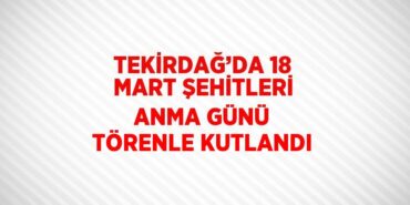 24704317772335924721tasarimli