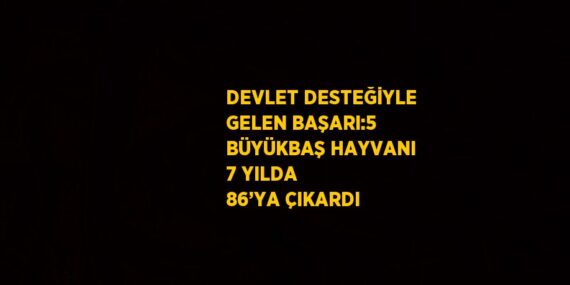 DEVLET DESTEĞİYLE GELEN BAŞARI:5 BÜYÜKBAŞ HAYVANI 7 YILDA 86’YA ÇIKARDI