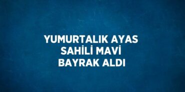 24711261572001526958tasarimli