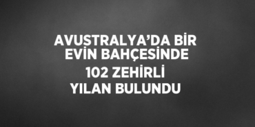 24712229462180031397tasarimli