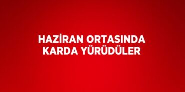 24715239752392824369tasarimli