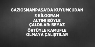 24715272682131023058tasarimli