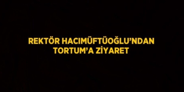 24733213903085929044tasarimli