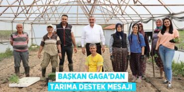 24733262342191823499tasarimli