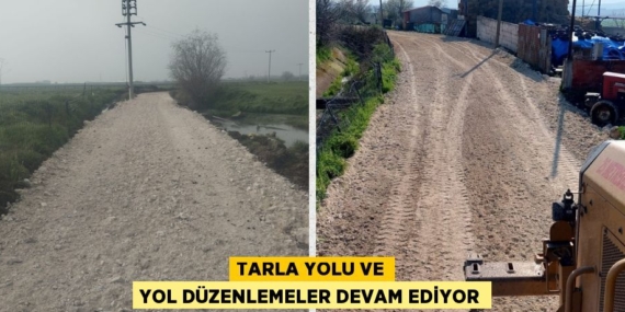 TARLA YOLU VE YOL DÜZENLEMELER DEVAM EDİYOR