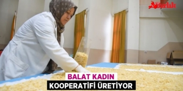 24740314062636230309tasarimli