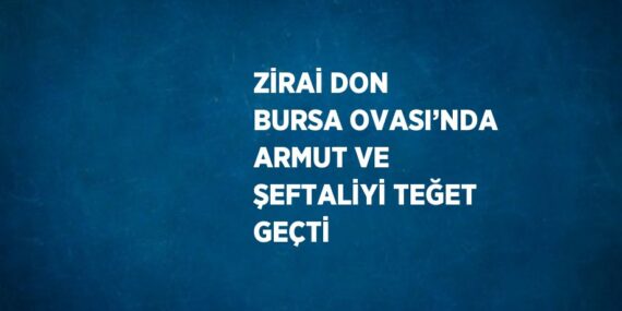 ZİRAİ DON BURSA OVASI’NDA ARMUT VE ŞEFTALİYİ TEĞET GEÇTİ