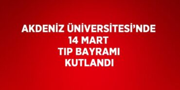 24754219323121530065tasarimli