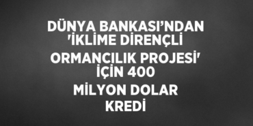 24756249292068325466tasarimli