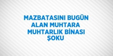 24757266052061730921tasarimli