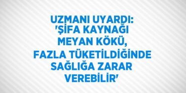 24757298992828628743tasarimli