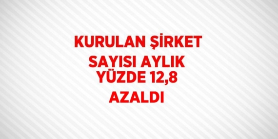 KURULAN ŞİRKET SAYISI AYLIK YÜZDE 12,8 AZALDI
