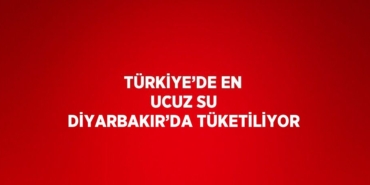 24763216242376027822tasarimli
