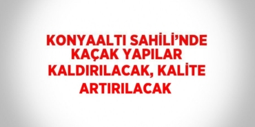 24764290222528822935tasarimli