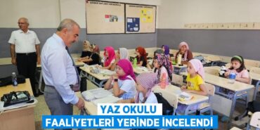 24767259902843625058tasarimli