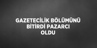 24767298182156721068tasarimli