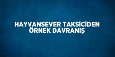 24772273892227122374tasarimli