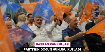 24775274113017131441tasarimli