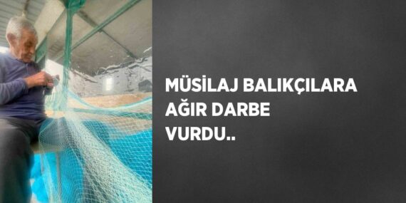 MÜSİLAJ BALIKÇILARA AĞIR DARBE VURDU..