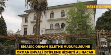 24778223562011024672tasarimli