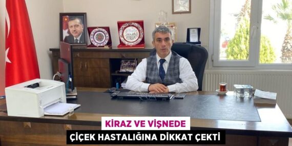 KİRAZ VE VİŞNEDE ÇİÇEK HASTALIĞINA DİKKAT ÇEKTİ